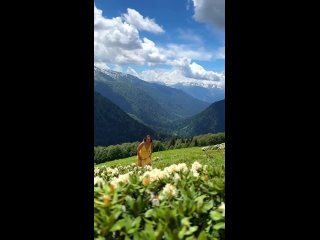Виды с Абхазских гор😍  Помните, главное что мы движемся к своей цели. Путь зачастую много важнее цели, помните это и... (видео)