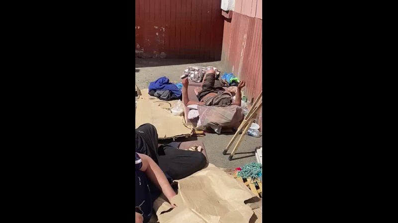 Здравствуйте. Прошу вас помочь с оглаской по нашему дому. В торце дома Чуйкова 53 поселились бомжы. Уже недели две.... (видео)