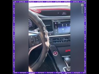 Когда собака упирается, прислоняется лбом,  она не дурачится, а демонстрирует проблемы со здоровьем. Следует обратиться... - Бахтияр Ишмурадов