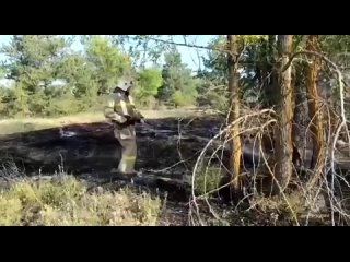 56 тонн воды сбросили с вертолета на горящий лес в Тарасовском районе.   Огонь продолжают тушить почти 300 пожарных (видео)