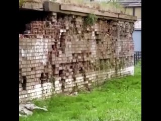 Если это жилой дом,то у меня вопрос не к крыскам... - Мария Бухарина