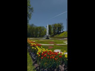 Музей-заповедник Петергоф  Видео: andrei_mikhailov (видео)