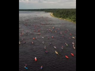 Сколько  оказывается бездельников... - Галина Белик