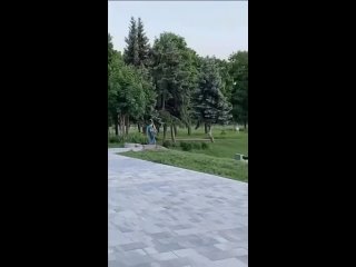 А теперь надо заставить этого синего чудака доставать всё обратно, а затем платить в карш и в  природохрану или как они... - Михаил Новожилов