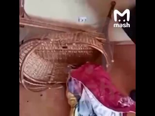 🤡 В  подмосковном Пушкино компания  молодых  людей  устроила  дебош  в  арендованном  коттедже,  нанеся  ущерб  на ... (видео)