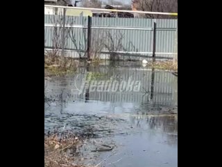 Челябинская область «захлебывается» от наводнений и бездействия администрации — поселения Копейского округа смывает... (видео)