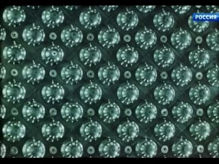 Занятия в МГУ, 1953 год (видео)