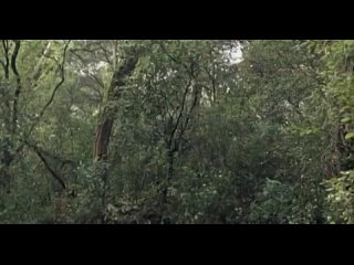 Serrallonga (Серальонга) 1x01 (русская озвучка)