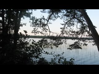 Ленкин парк! 2010