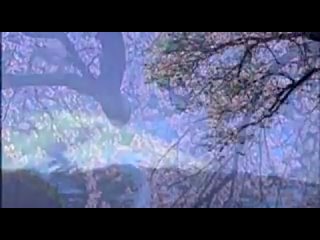 Японская песня, только для женщин!