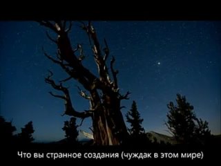 Нашид - Тоска (с переводом на русский язык)