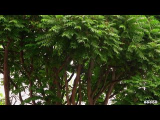 Вальс дождя_ Самая красивая мелодия на свете_ Эту музыку можно слушать вечно_ ШИКАРНЫЙ СБОРНИК ПЕСЕН(720P_HD).mp4