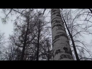 Самые лучшие для САМОЙ ЛУЧШЕЙ!