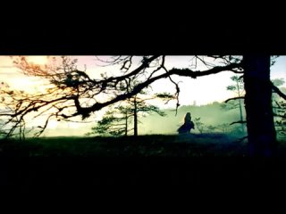 Apocalyptica feat. HIM & The Rasmus - Bittersweet