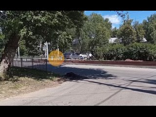 От подписчика:  «Рельсы только засыпали камнями и пустили трамваи, а дачники уже тут как тут, камушки полезные воруют».... (видео)