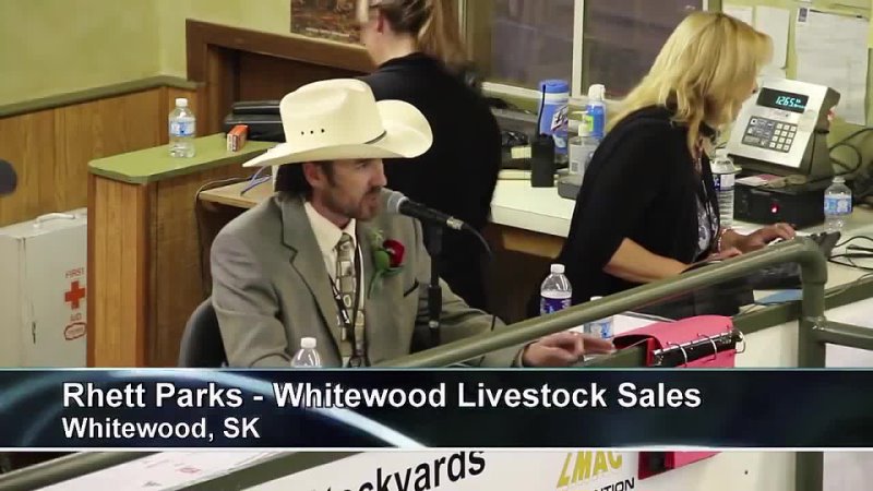 Cattle Auctioneer, The New Rap