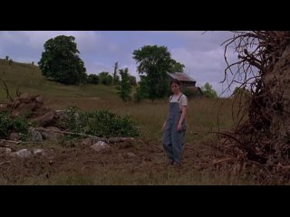 Летите домой / Fly Away Home