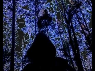 Алексей Cuse Турчински - Лесополоса