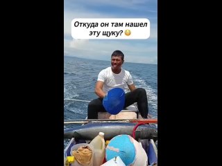 Знает рыбные места (видео)