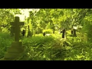 Crystal Castles - Celestica