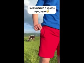 Полезные советы для жизни (видео)