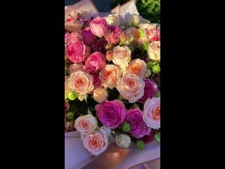 названия (11)