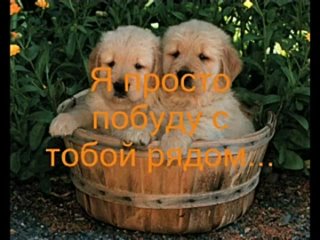 Сестрёнке