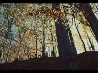 НЕПОКОРНЫЙ / НЕСКОРЕНИЙ /  Undefeated (2000) vk.com/slavicinfo