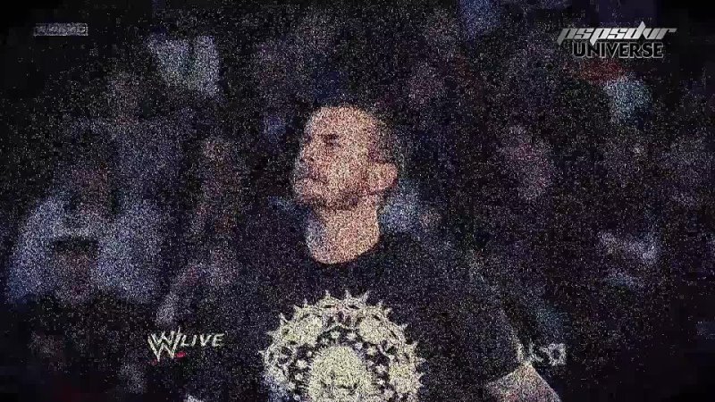 CM Punk ( Phillip Brooks) 2010