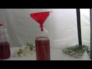 ГАЗИРОВКА в домашних условиях.