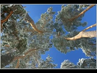 зимняя мелодия