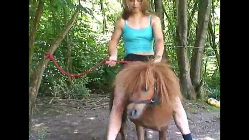 Girl on small Pony