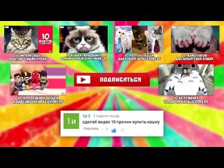 10 ПРИЧИН КУПИТЬ КОТА - Интересные факты!