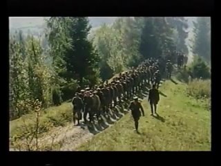 Ой у лузі червона калина..