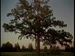 Прощание (1983)