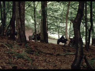 1 часть  Туманы Авалона  (2001) фэнтези, драма Чехия, Германия, США