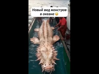 Очередное чудовище (видео)