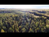 Видео от ГКУ ПО "Ломовское лесничество"