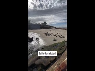 Доброе утро! (видео)