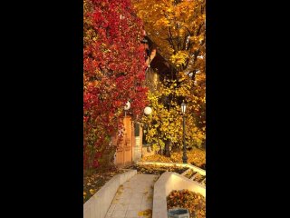 Петербургский ангел в Измайловском саду.    В Измайловском саду, неподалёку от Молодёжного театра, установлена... (видео)