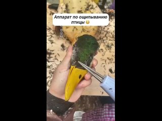 Теперь все стало намного легче. (видео)