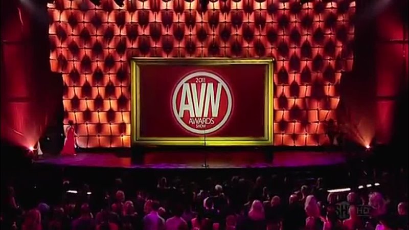 2011 AVN Awards Show 28th Annual Adult Video News Awards