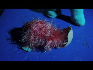 Неизвестно