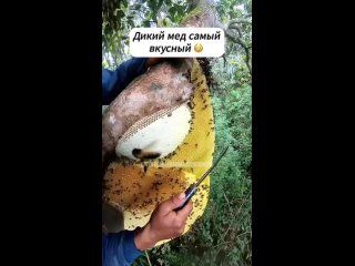 Смотрится действительно рискованно. (видео)