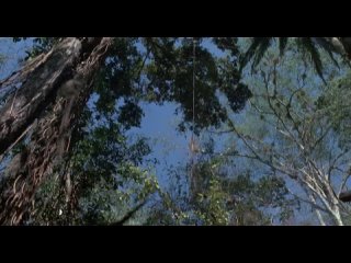 WХищник / Predator (1987)   Blu-ray / Лицензия