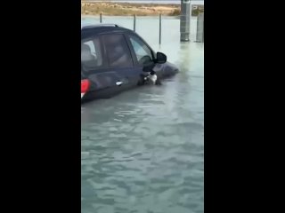 В Дубае кот спасался от наводнения, держась за ручку автомобиля.  Двое мужчин спасли его и забрали в лодку.