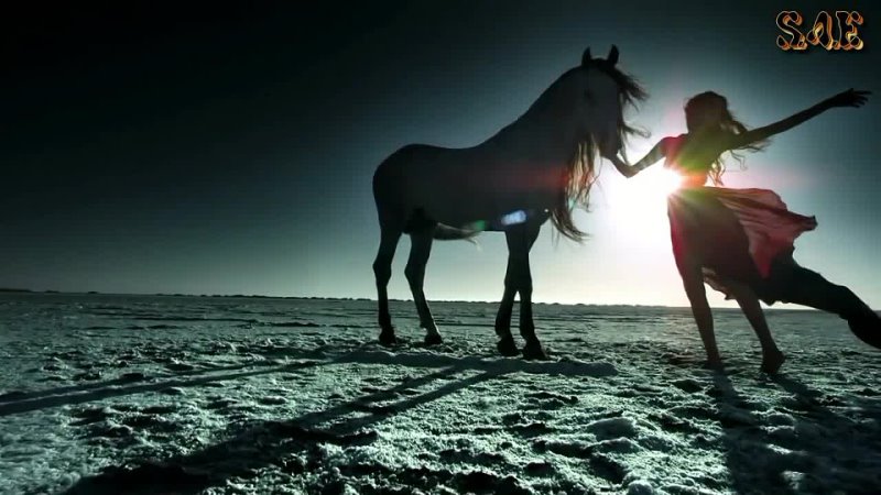 Самые красивые клипы песен. Лошадь в пустыне. Красивые картинки красивый клип. Самый красивый клип. Самые красивые клипы в мире.