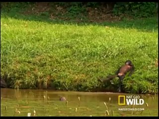 Натали - О боже, какой мужчина ! (ПРЕМЬЕРА КЛИПА 2014)