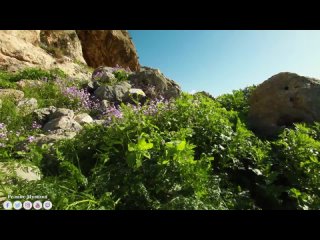 Самая красивая мелодия на свете! Эту музыку можно слушать вечно! красивая музыка #1