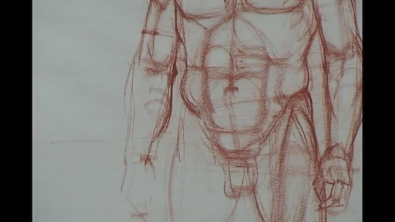 Vilppu Studio Anatomy